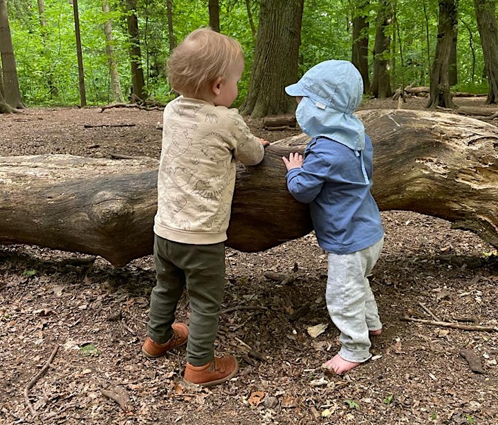 Kinderspiel im Wald mit Eltern: Bild 