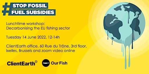 Lunchtime workshop: Decarbonising the EU fishing sector