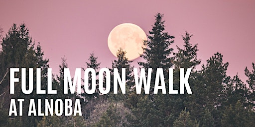 Full Moon Walk: Strawberry Moon