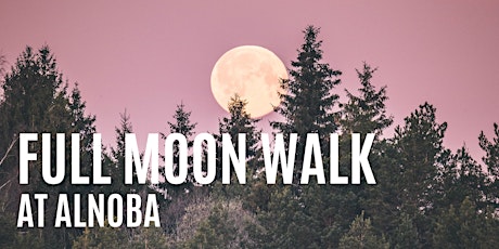 Full Moon Walk: Hunter's Moon