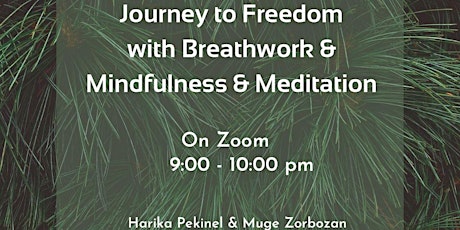 Journey to Freedom  with Breathwork  & Mindfulness & Meditation -Zoom Event tickets