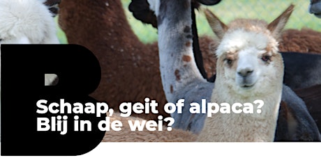 Schaap, geit of alpaca: Blij in de wei? tickets