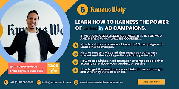 LEARN HOW TO HARNESS THE POWER OF LINKEDIN AD CAMPAIGNS