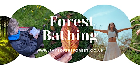 Meditation & Forest Bathing session at Castle Bromwich Hall Gardens tickets