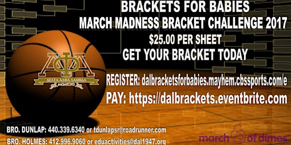 DAL Brackets for Babies 2017