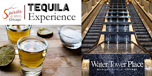 Spirits & Spice Chicago Tequila Experience