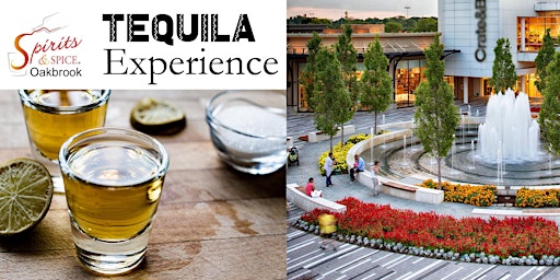 Spirits & Spice Oakbrook Tequila Experience primary image