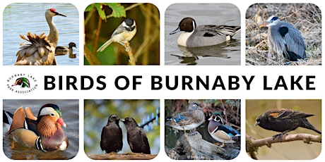Let’s Go Birding at Burnaby Lake Regional Park - #1 tickets