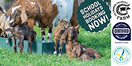 Self-guided School Holiday Groups at Collingwood Children's Farm