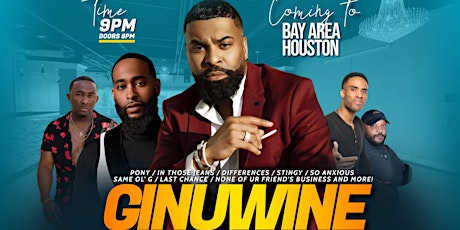 GINUWINE and Friends Live in Bay Area Houston! Official Launch of ARMAHS!!