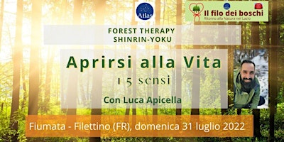 Forest Therapy: i 5 sensi