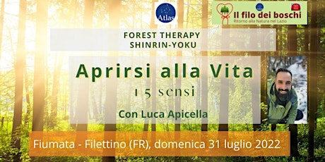 Forest Therapy: i 5 sensi biglietti