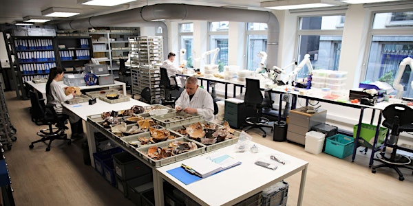 The archaeological laboratory of urban.brussels