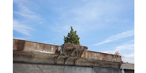 The QueensWay: A Place That Moves People