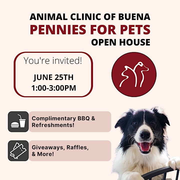 Pennies for Pets Event at Animal Clinic of Buena image