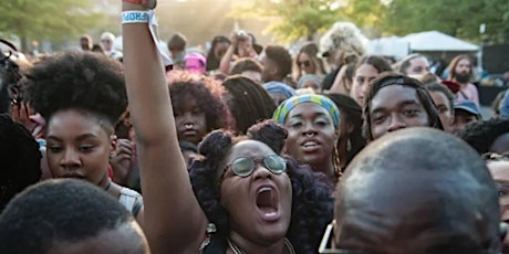 Afro Soca Love : Durham Black  August In The Park Festival