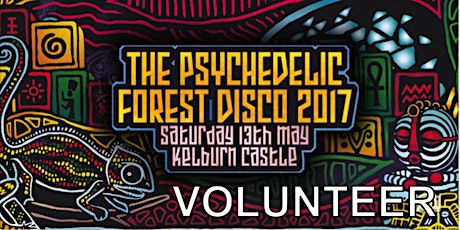 Psychedelic Forest Disco 2017 Volunteer Application primary image