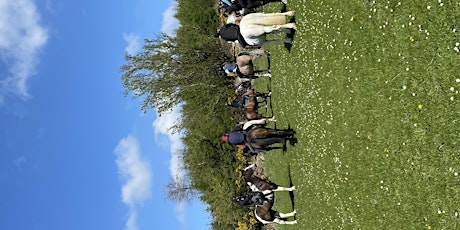 Donard glen equestrian end of month ride May 29th 1pm sharp