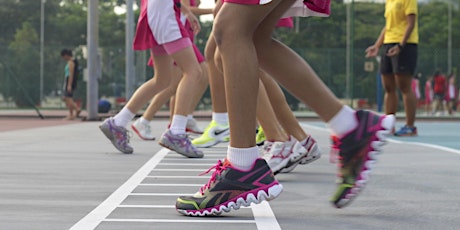 2017 Term 2 Netball (NEW PLAYERS) primary image