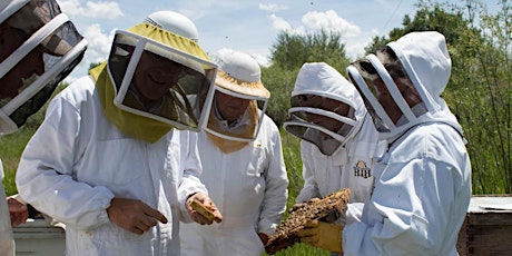 Intermediate Beekeeping Workshop June 18