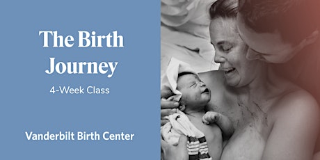 Birth Journey Childbirth + Early Parenting 4-Wk Class 8/22-9/19
