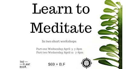 Manly Mindfulness Workshops- LEARN TO MEDITATE primary image