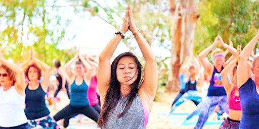 Community Yoga in Petaluma
