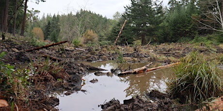 Galiano Conservancy: Wetland Restoration in the Chrystal Creek Watershed tickets