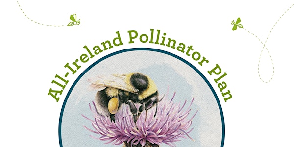 All-Ireland Polllinator Plan ~ Train the Trainer with Biodiversity Ireland