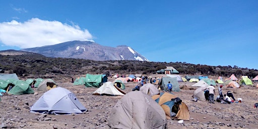 7 Days Kilimanjaro Lemosho Route Climb