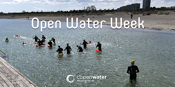 Free training session - Open Water Week in Nordhavn