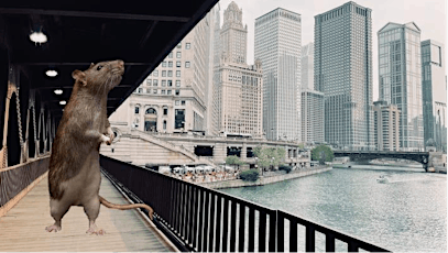 Hidden Chicago - Underground Streets (plus RATS!) tickets