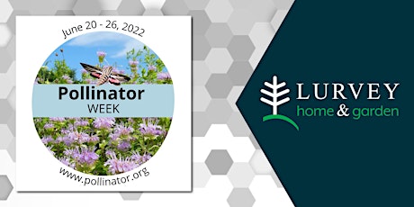 Celebrating National Pollinator Week! tickets