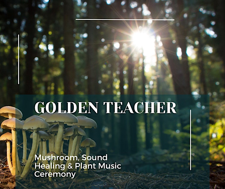 Afbeelding van Golden Teacher Ceremonie