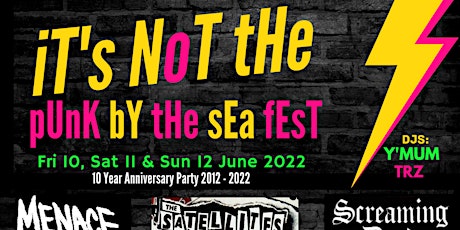 It's Not The 'Punk The Sea' -  DIY Together Reunion Festival tickets