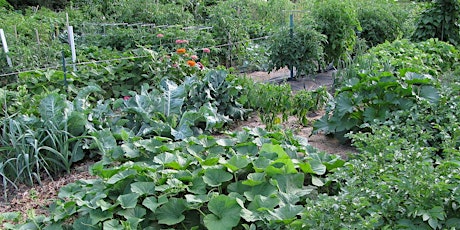 Vegetable Gardening in Time of Drought tickets