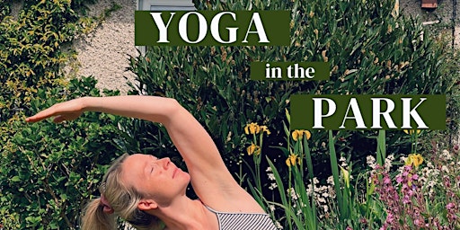 Yoga in the Park Limerick