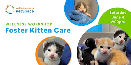 Wellness Workshop: Foster Kitten Care tickets