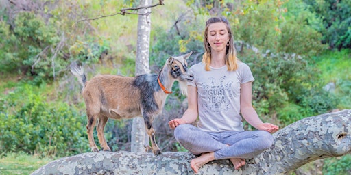 Goat Yoga Sound Bath in Nature
