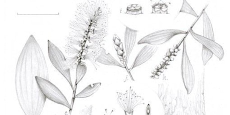 Workshop: Scientific Botanical Illustration with Tanya Hoolihan tickets