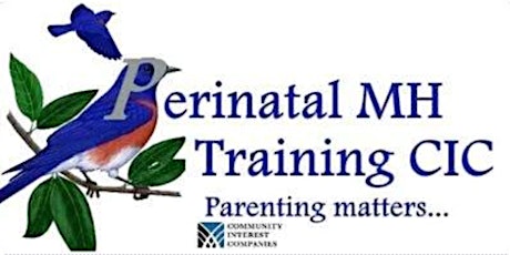 18th, 19th + 20th July 2022 - Cultural Awareness in Perinatal Mental Health tickets