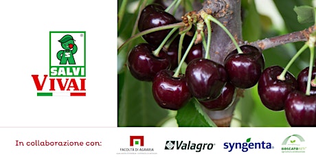OPEN DAY CERASETO - OPEN DAY CHERRY TREES 2022 tickets
