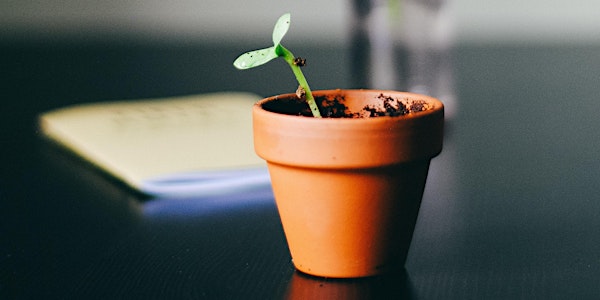 Legacy Fundraising – How to Get Started with Legacies