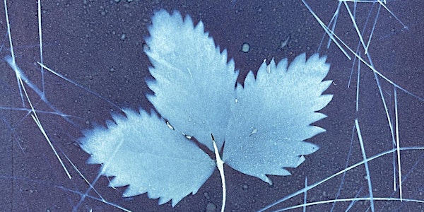 Introduction to Cyanotypes Workshop