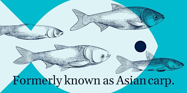 A new name for Asian carp