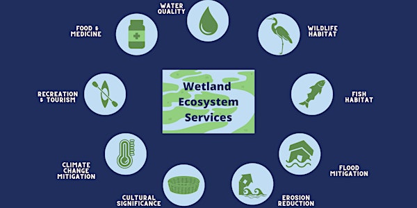 A Framework for Ecosystem Services Projects Webinar