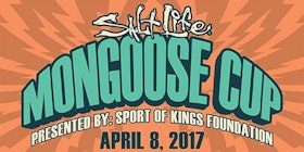 Image result for mongoose cup 2017