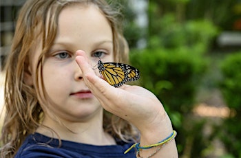 6-11-22  Butterfly Gardening for Children tickets