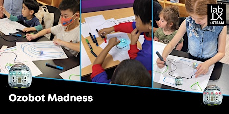 Ozobot Madness tickets