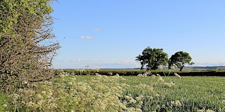 Teagasc Agri-environment Conference primary image